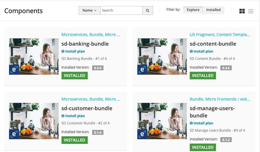 Local Hub Grid View of Bundles
